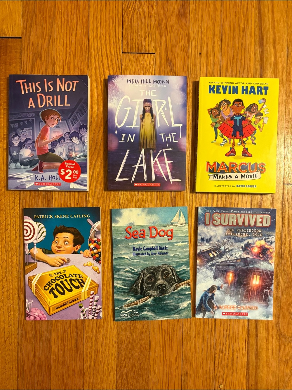 Scholastic Middle Grade Chapter Books Paperback 6-Book Lot